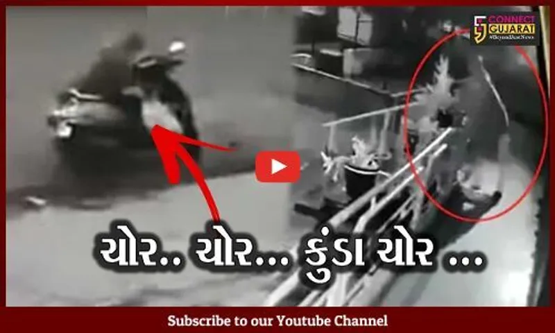 વડોદરા : ઘર કે દુકાનની બહાર કુંડા રાખો છો ચેતજો, હવે કુંડા ચોરીનો ચાલ્યો છે ટ્રેન્ડ