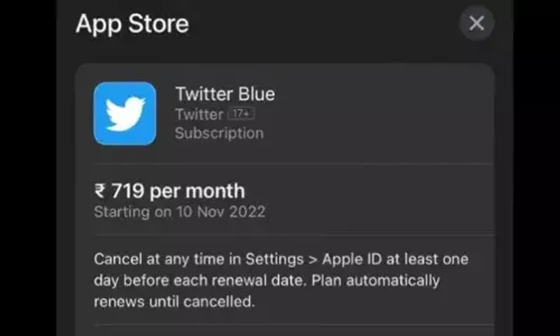 Twitter Blue Tick: ટ્વિટર બ્લુ ભારતમાં સૌથી મોંઘી કિંમત હોઈ શકે.!