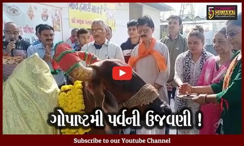 ભરૂચ: પાંજરાપોળ ખાતે ગોપાષ્ટમી પર્વની ઉજવણી, વિશ્વ હિન્દુ પરિષદના આગેવાનો જોડાયા