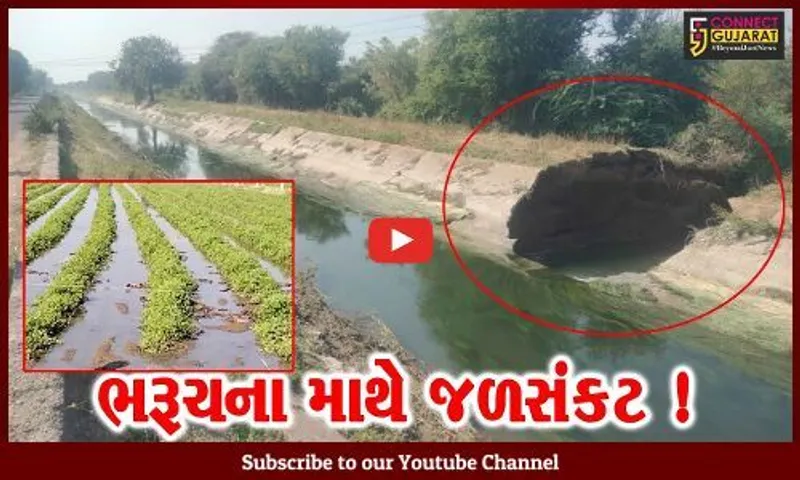ભરૂચ: શહેરમાં પાણી પહોંચાડતી અમલેશ્વર બ્રાન્ચ કેનાલમાં ડભાલી ગામ નજીક ગાબડુ, ખેતરો થયા જળબંબાકાર