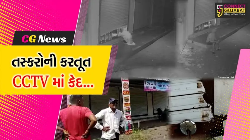 નવસારી : ખેરગામના રૂમલા ગામે એક સાથે 5થી વધુ દુકાનના તાળા તૂટ્યા, તસ્કરોની કરતૂત CCTVમાં કેદ...