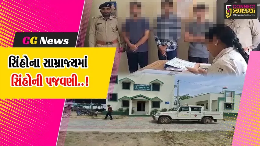 અમરેલી : ગેર’કાયદે સિંહ દર્શન કરાવવા 3 શખ્સોને ભારે પડ્યું, વન વિભાગે કરી ધરપકડ...