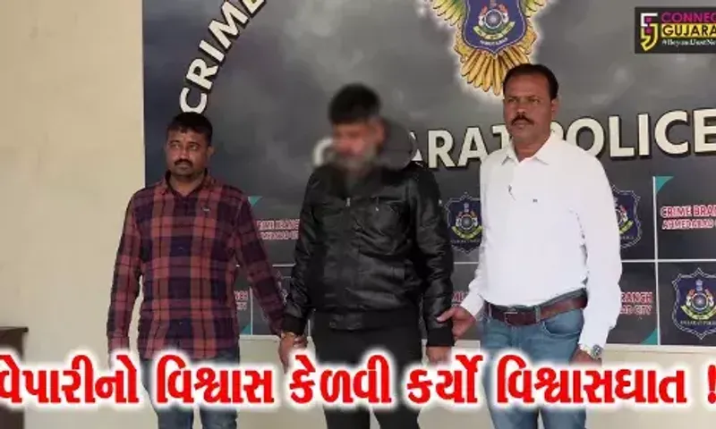 અમદાવાદ:કરોડો રૂપિયાની છેતરપિંડી કરનાર રીઢા ગુનેગારની પોલીસે કરી ધરપકડ