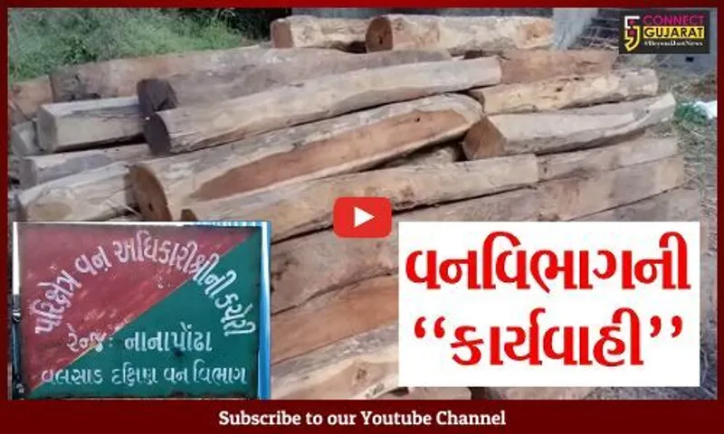વલસાડ : મોટી વહિયાળ ગામેથી વન વિભાગે રૂ. 2.90 લાખના સાગી લાકડાનો જથ્થો ઝડપી લેતા પુષ્પરાજોમાં ફફડાટ...