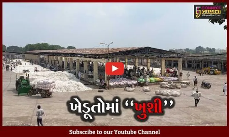 અમરેલી : બાબરા માર્કેટિંગ યાર્ડમાં કપાસની આવકમાં વધારો, સારો ભાવ મળતા ખેડૂતોમાં ખુશી.