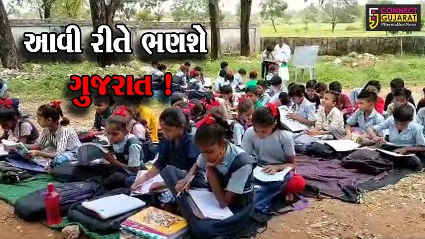 અરવલ્લી : મેઘરજના નવાઘરા મૂડશી ગામે વિદ્યાર્થીઓ ઓરડાના અભાવના કારણે ઝાડ નીચે બેસી અભ્યાસ કરવા બન્યા મજબૂર..