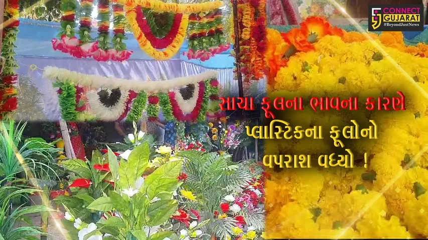 ભરૂચ:સાચા ફૂલોના ભાવ બમણા થતાં તહેવારો પ્રસંગો અને ઘર સજાવટમાં પ્લાસ્ટિકના ફૂલોનોવપરાશ વધ્યો