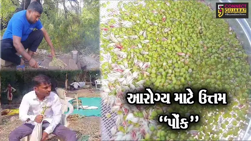 ભરૂચ-અંકલેશ્વરને જોડતાં જુના નેશનલ હાઇવે પર ધમધમતી થઈ પોંકની હાટડીઓ...