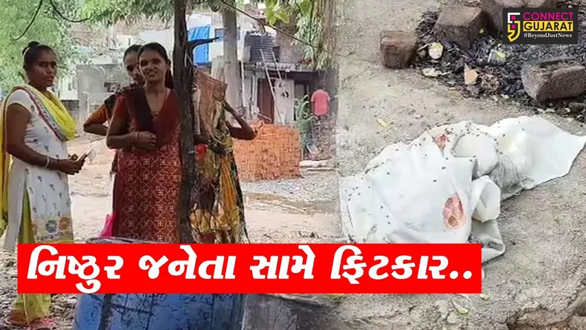 વડોદરા : બાપોદની ધનલક્ષ્મી સોસાયટીમાંથી ત્યજેલું મૃત બાળક મળી આવતા ચકચાર, પોલીસ તપાસ શરૂ...