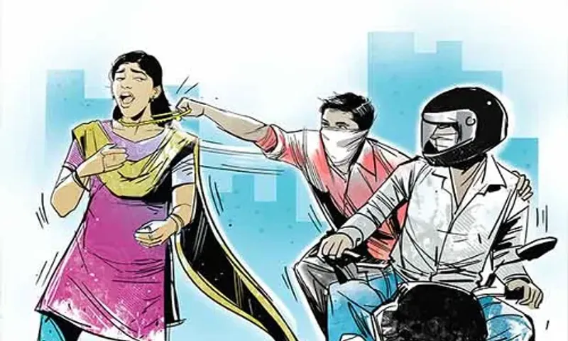 ભરૂચ: મામલતદાર કચેરી નજીક મહિલાના ગળામાંથી ચેઇન સ્નેચિંગ, પોલીસે તપાસ શરૂ કરી