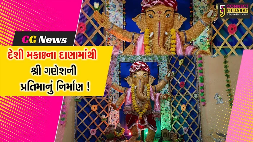 ભરૂચ: દેશી મકાઇના દાણામાંથી શ્રીજીની 4 ફૂટ ઉંચી પ્રતિમાનું નિર્માણ, નર્મદા નદીમાં વિસર્જન કરી જળચરોને મળશે ખોરાક
