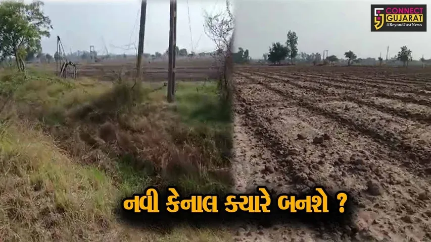 સુરેન્દ્રનગર: રાણીપાટ ડેમમાંથી નીકળતી કેનાલો તૂટી ગઇ,ખેડૂતોએ નવી નહેર બનાવવા તંત્રને કરી રજૂઆત