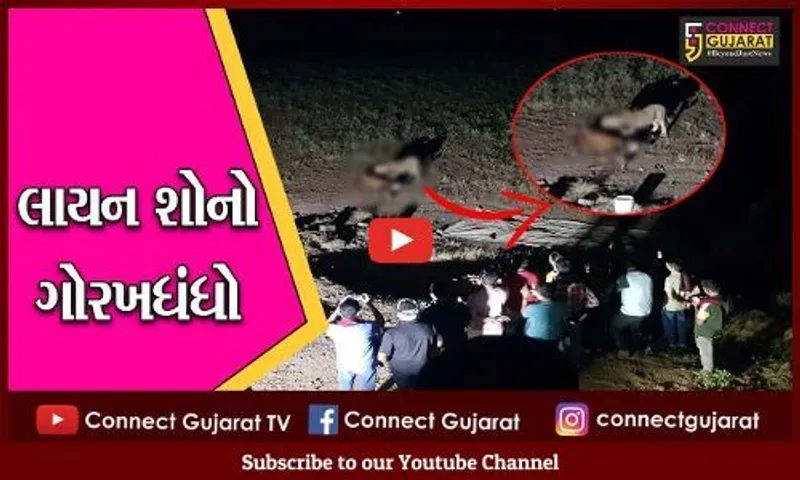 જુનાગઢ : ગુંદીયાળામાં ગેરકાયદે લાયન શો, ફરાર પોલીસકર્મીની ચાલતી શોધખોળ