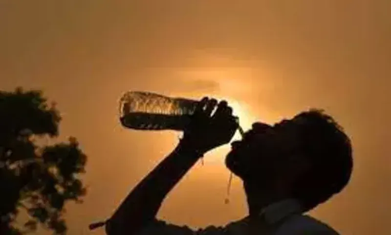 ગુજરાત શેકાયું ગરમીમાં, રાજકોટ 40 ડીગ્રી તાપમાન સાથે સૌથી વધુ ગરમ શહેર