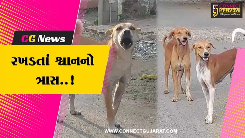 ભાવનગર : છેલ્લા 6 મહિનામાં શ્વાન કરડવાના 15,197 કેસ નોંધાયા, ચોંકાવનારો આંકડો સામે આવતા મનપાની કામગીરી ઉપર સવાલ...