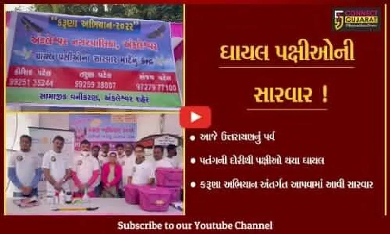 ભરૂચ: કરૂણા અભિયાન અંતર્ગત ઠેર ઠેર કેમ્પ ઉભા કરાયા,ઘાયલ પક્ષીઓની કરાય સારવાર