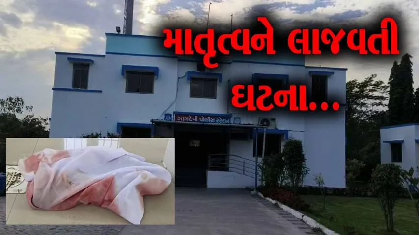 નવસારી : ગણદેવીમાં તરછોડાયેલા નવજાતને શ્વાનોએ ફાડી ખાતા મોત, નિષ્ઠુર જનેતા સામે ફિટકાર...