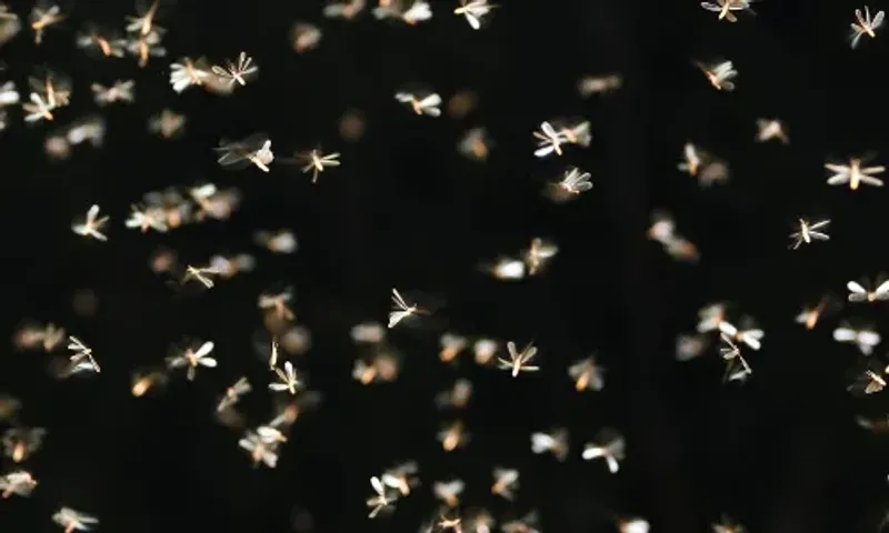 વરસાદી સિઝનમાં ઘરમાં જીવડા આવી જાય છે, અપનાવો આ સરળ 5 ટિપ્સ, ફટાફટ ભાગી જશે તમામ જીવડાઓ.......