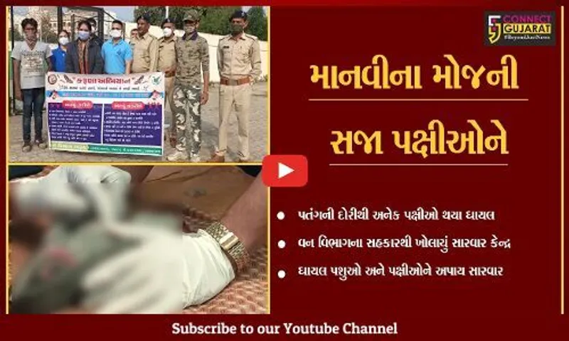 ભરૂચ : રોટરી કલબ ખાતે ઉભું કરાયું દવાખાનું, ઘાયલ પક્ષીઓની કરાય સારવાર