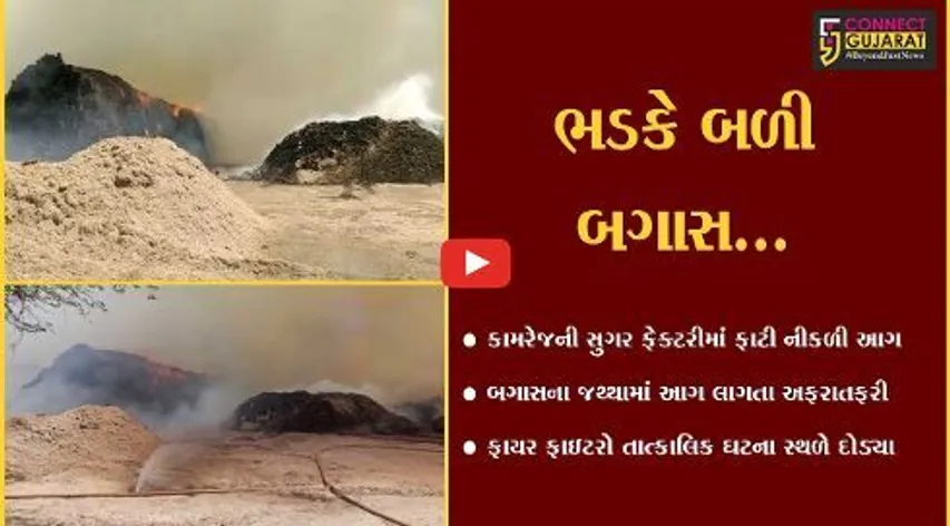 સુરત : કામરેજની સુગર ફેક્ટરીમાં રહેલ બગાસના જથ્થામાં ફાટી નીકળી આગ, ફાયર ફાઇટરો દોડ્યા