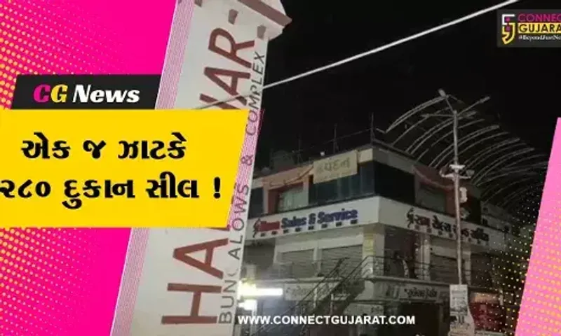 ભરૂચ: હરિહર કોમ્પલેક્ષની 280 દુકાનો સીલ કરાય, જુઓ તંત્ર દ્વારા કેમ વીંઝાયો કાયદાનો કોરડો