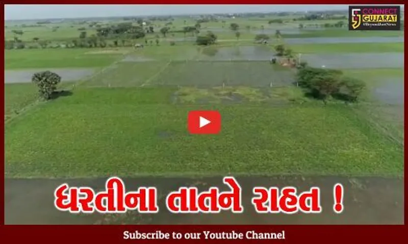 ગીરસોમનાથ: બે સિંચાઈ યોજનામાંથી 39 ગામોને ઉનાળું પિયત માટે પાણી આપવાનો નિર્ણય,ખેડૂતોમાં ખુશીનો માહોલ