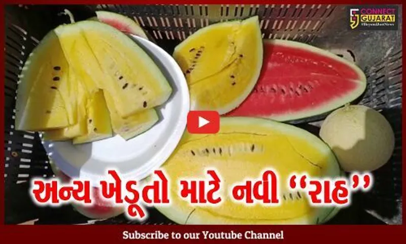 સુરેન્દ્રનગર : પીળા તરબુચ અને સક્કરટેટીની સફળ ખેતી, નારીચાણાના ખેડૂતોએ મેળવી મબલક આવક...