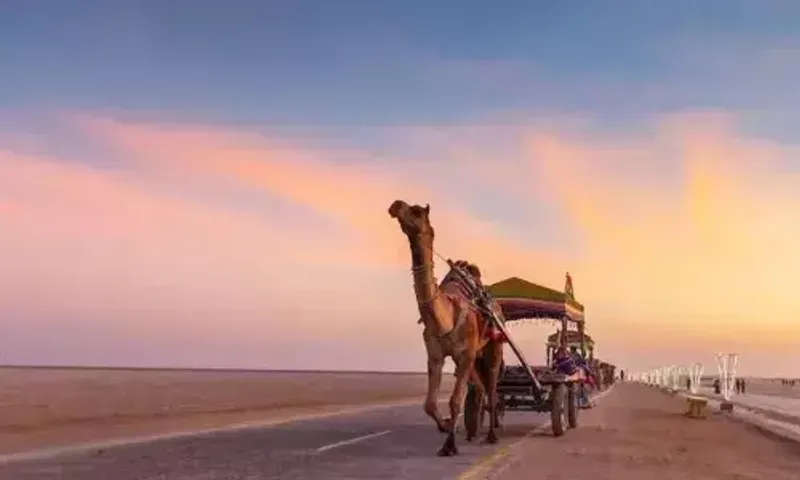 કચ્છનું ધોરડો વિશ્વના શ્રેષ્ઠ પ્રવાસન ગામોની યાદીમાં સામેલ, સંયુક્ત રાષ્ટ્રના વિશ્વ પર્યટન સંગઠને કરી જાહેરાત.....