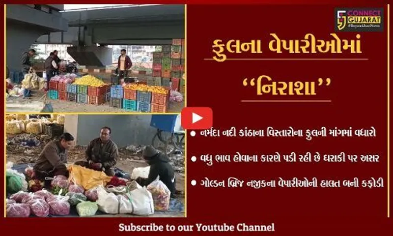ભરૂચ : ફુલ ગુલાબી ઠંડીમાં ફુલના વેપારીઓમાં નિરાશા, ભાવ વધતાં અસમંજસ..!