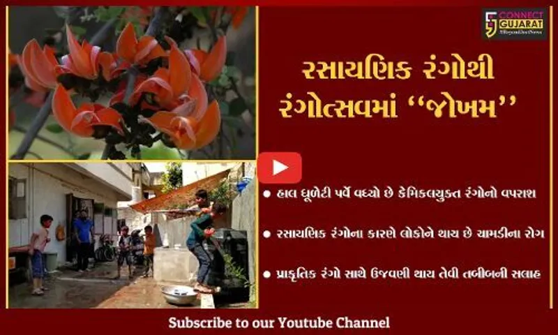 ભરૂચ : હોળી-ધૂળેટી પર્વે થતો કેમિકલયુક્ત રંગોનો વપરાશ "જોખમી", પ્રાકૃતિક રંગોથી ઉજવણી કરવા તબીબની સલાહ