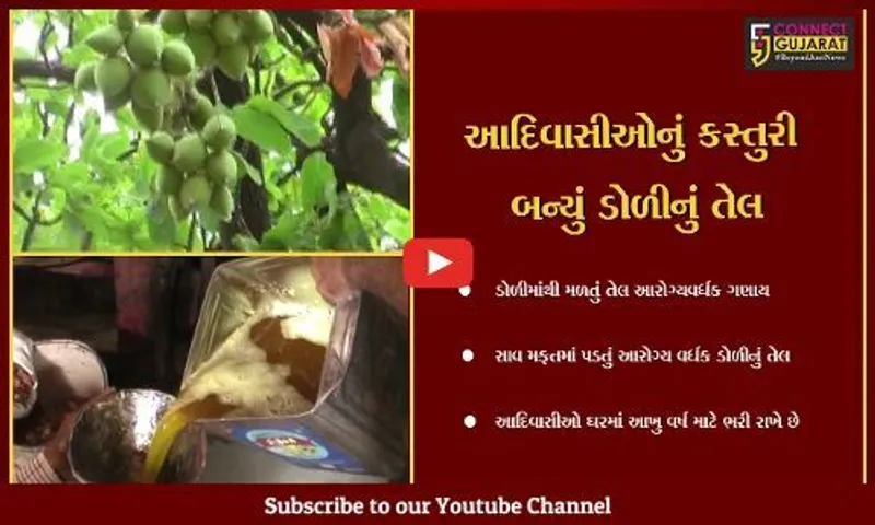 નર્મદા જિલ્લાના આદિવાસીઓ મોંઘુદાંટ સીંગતેલ આદિવાસીઓ કદી ખાતા જ નથી,આઝાદી કાળથી વાપરે છે ડોળીનું તેલ
