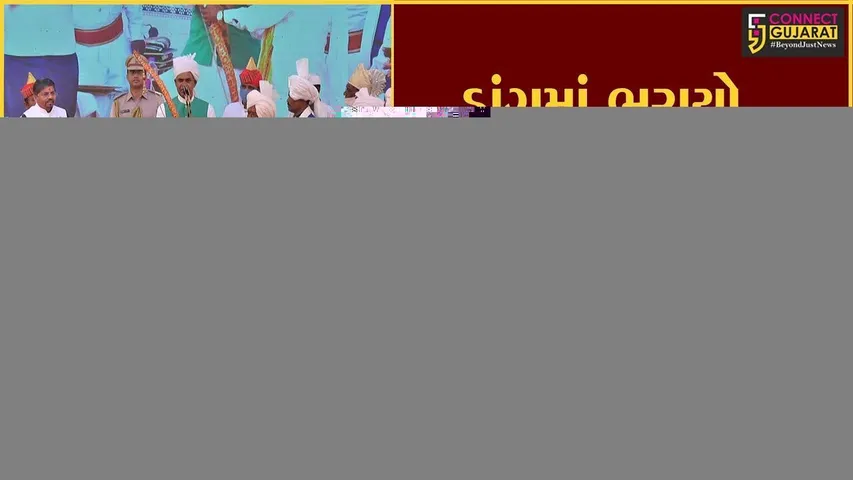 ડાંગ : પાંચ રાજાઓને અપાયું વાર્ષિક સલિયાણું, રંગપંચમી સુધી ઉજવાશે ડાંગ ઉત્સવ