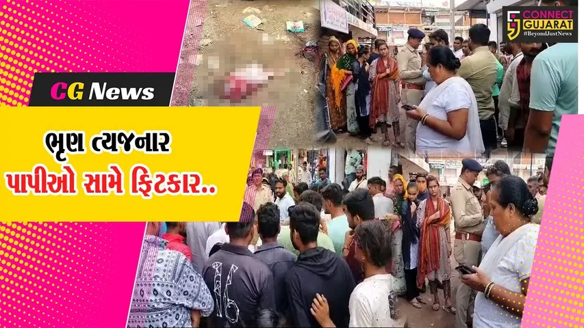અરવલ્લી : મેઘરજમાં વિકસિત બાળકીનું ભૃણ મળી આવતા ચકચાર, પોલીસની નક્કર કાર્યવાહી...
