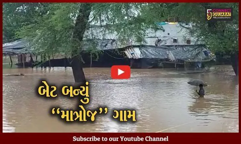 વડોદરા : ભારે વરસાદ વરસતા કરજણ તાલુકાનું માત્રોજ ગામ બેટમાં ફેરવાયું, ગ્રામજનોને હાલાકી...
