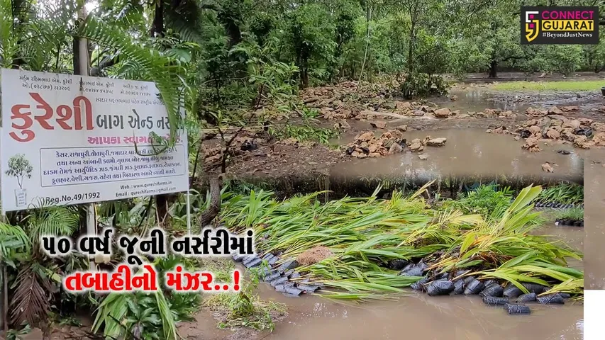 પર્યાવરણનું પિયર ગણાતી ગીર સોમનાથની કુરેશી નર્સરીમાં પૂરનો પ્રકોપ, લાખો વૃક્ષો અને રોપા થયા નષ્ટ..!
