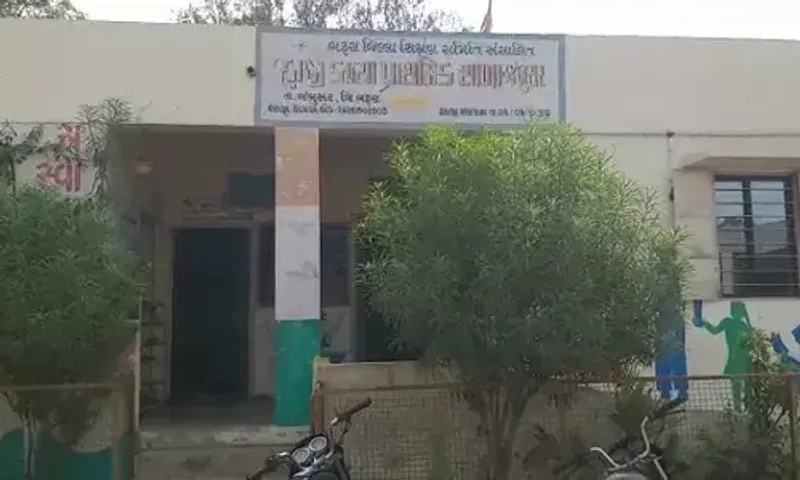 ભરૂચ: જંબુસરની હાજી કન્યા શાળામાં તસ્કરો ત્રાટક્યા, ચાર મોનીટરની ચોરી કરી ફરાર