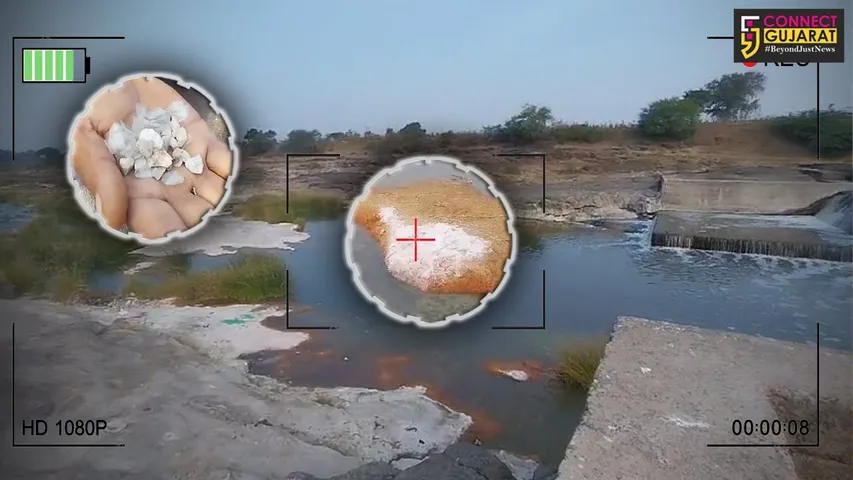 રાજકોટ: GPCBની ગંભીર બેદરકારી સામે આવી,જેતપુરના સાડી ઉધોગો દ્વારા નદીમાં છોડાઇ છે કેમિકલ યુક્ત પાણી