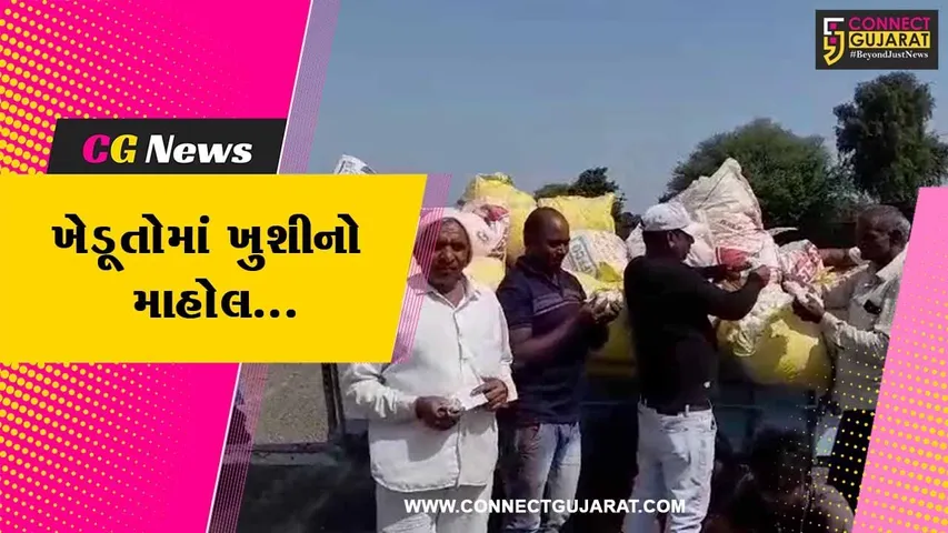 અમરેલી : હરાજીના પ્રથમ દિવસે જ લાઠી માર્કેટ યાર્ડ ખાતે કપાસનો સારો ભાવ મળતા ખેડૂતોમાં ખુશી...