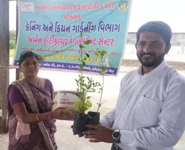 ખેડા : કપડવંજ બાગાયત ખાતા દ્વારા “અર્બન હોર્ટિકલ્ચર ડેવલપમેન્ટ” અંતર્ગત તાલીમ શિબિર યોજાય...