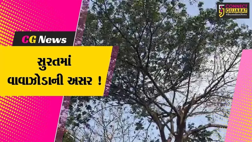 સુરત:વાવાઝોડાની અસરના પગલે 60 કિમીની ઝડપે પવન ફૂંકાતા 23 ઝાડ પડ્યા,તંત્ર એલર્ટ મોડ પર