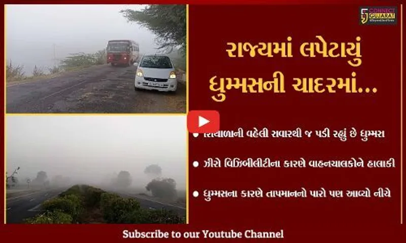ધુમ્મસની ચાદરમાં લપેટાયું ગુજરાત, તાપમાનનો પારો પણ નીચે આવ્યો...