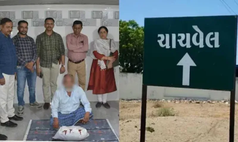 ભરૂચ:વાગરાના ચાંચવેલ ગામેથી ગાંજાના જથ્થા સાથે એક આરોપીની પોલીસે કરી ધરપકડ