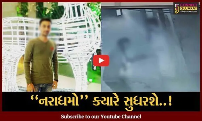 સુરત : દિવ્યાંગ બાળકી સાથે યુવકે કરેલા શારીરિક અડપલાં CCTVમાં કેદ, પોલીસે કરી નરાધમની અટકાયત...