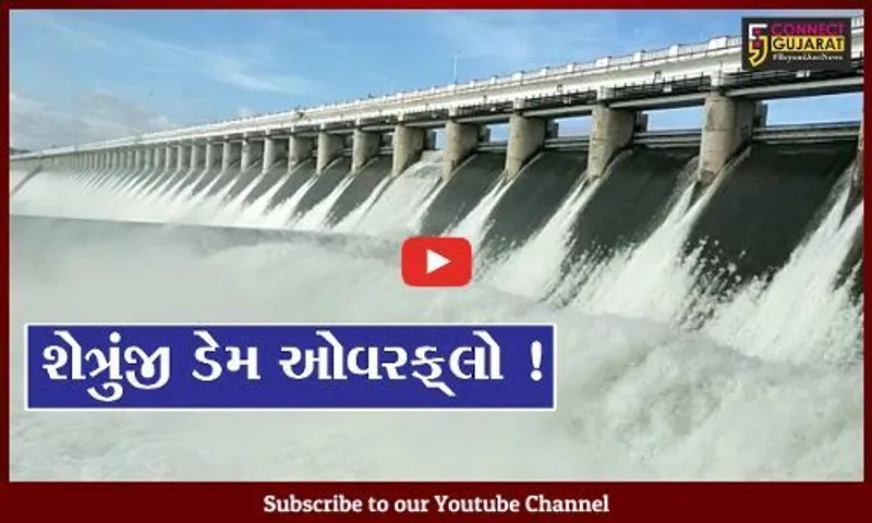 ભાવનગર: શેત્રુંજી ડેમ ઓવરફ્લો થતા 17 ગામોને એલર્ટ જાહેર કરાયા