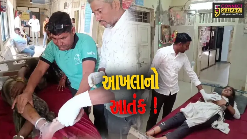 સુરેન્દ્રનગર: લગ્નમંડપ નજીક જ આખલાએ મચાવ્યો આતંક, 15 જાનૈયા ઇજાગ્રસ્ત