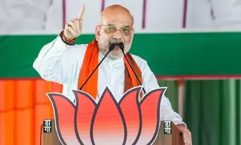 બે તબક્કાના મતદાન બાદ અમિત શાહનું નિવેદન,ભાજપ 100થી વધુ બેઠક જીતી રહ્યું છે