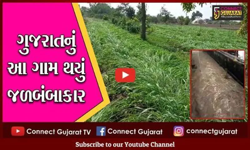 અમરેલી : શિયાળામાં ભાદરવાનો માહોલ, બે ઇંચથી વધારે વરસાદથી લાસા ગામમાં નદીઓ વહી