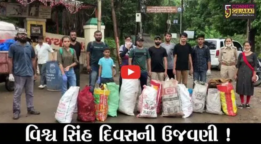 જૂનાગઢ: વિશ્વ સિંહ દિવસની અનોખી ઉજવણી, જુઓ સેવા કાર્ય