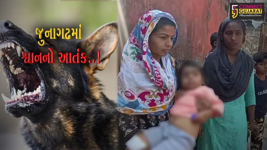 જુનાગઢ : 3 વર્ષીય બાળકી પર રખડતાં શ્વાનનો હુમલો, મનપાની કામગીરી પર સવાલ..!