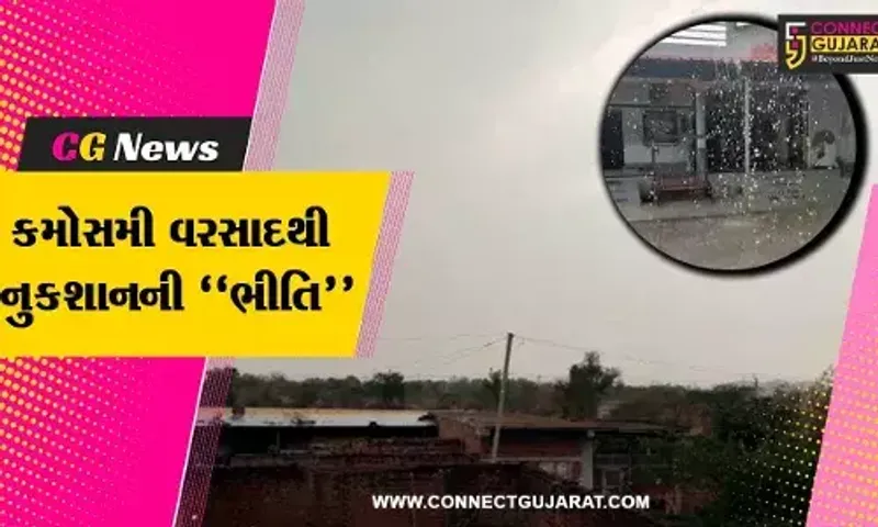 અમરેલી : ઉનાળાના આરંભે કમોસમી વરસાદની એન્ટ્રી, ખેડૂતોમાં ઘેરાયા ચિંતાના વાદળો...